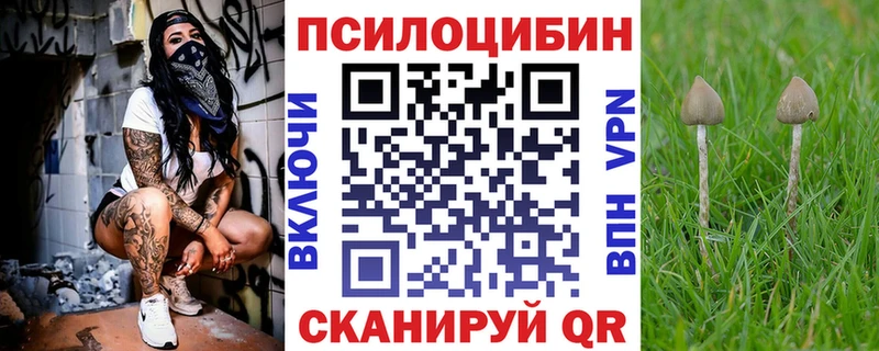 Галлюциногенные грибы Psilocybe  omg ССЫЛКА  Липецк 